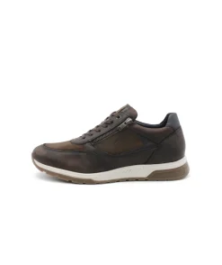 Homme L'Empreinte Chaussures Baskets|FLUCHOS F1603 LOUIS